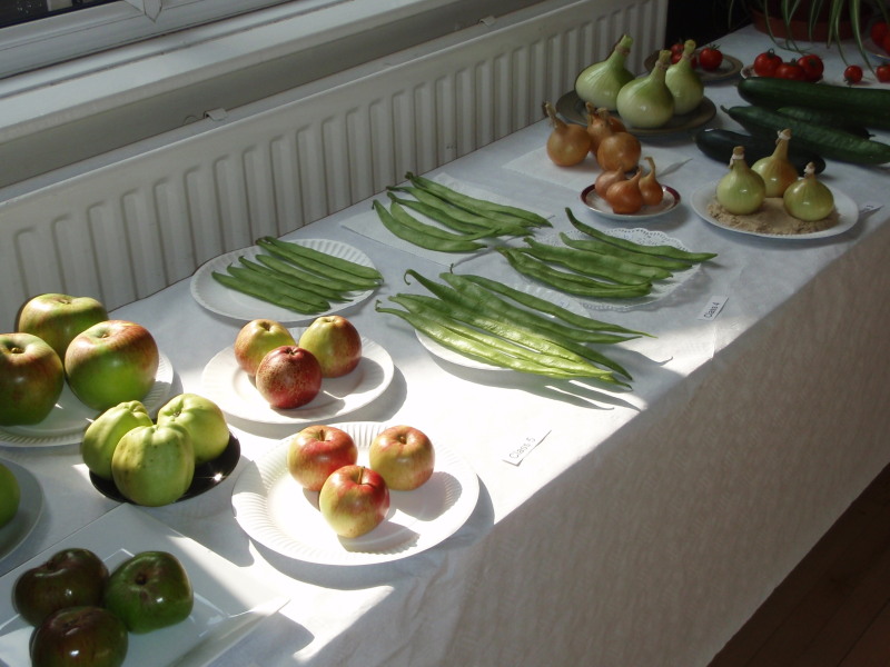 Acton Bridge Show