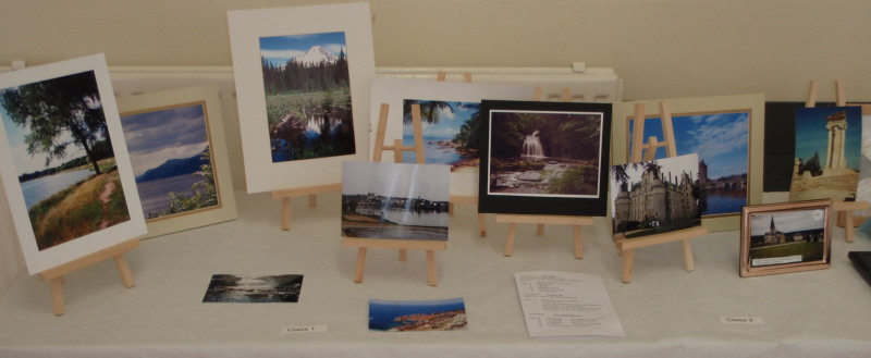 Acton Bridge Show