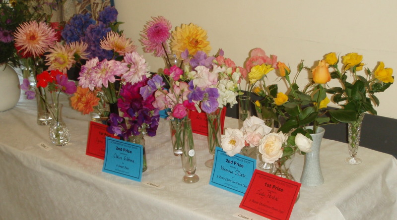 Acton Bridge Show
