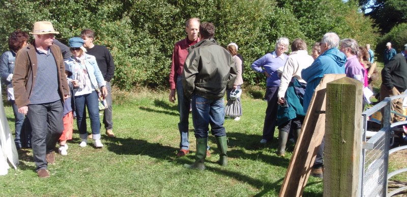 Hazel Pear Wood
