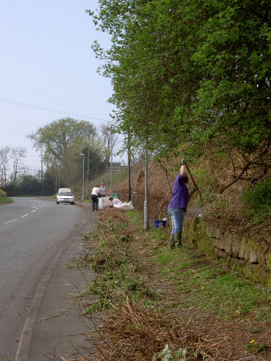 Clearing the Sandstone Wall