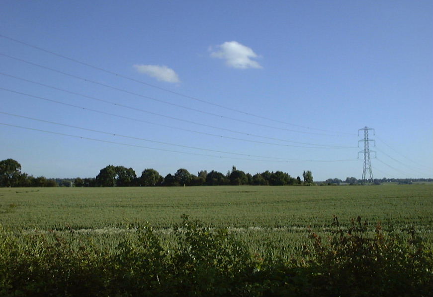 The proposed Green Belt site, June 2004